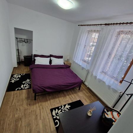 Apartamentul Florilor De Fan Azuga Buitenkant foto