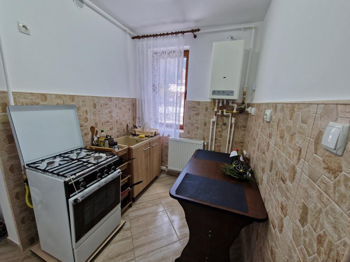Apartamentul Florilor De Fan Azuga Buitenkant foto