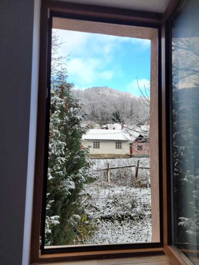 Apartamentul Florilor De Fan Azuga Buitenkant foto