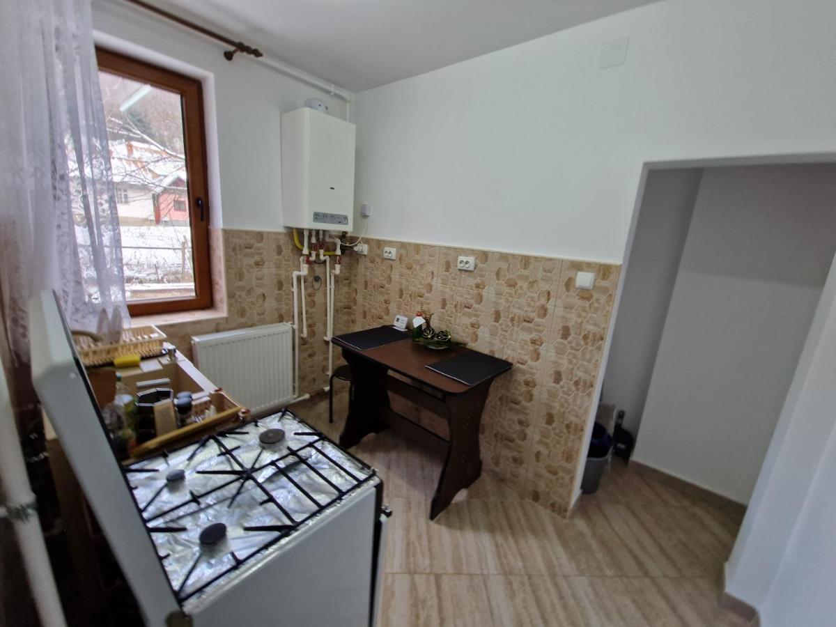 Apartamentul Florilor De Fan Azuga Buitenkant foto